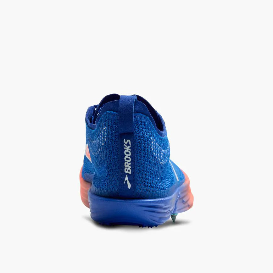 Cobalt/Pink Clay/Limpet Shell