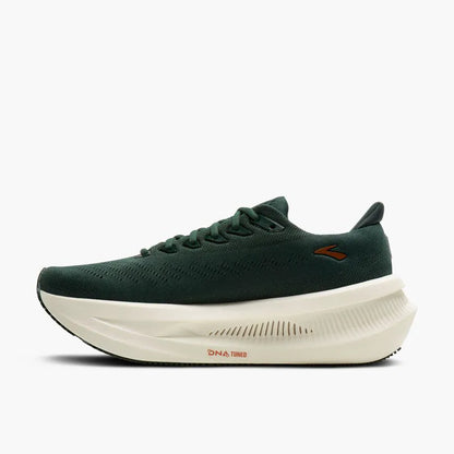 Dark Spruce/Bombay Brown/Clear