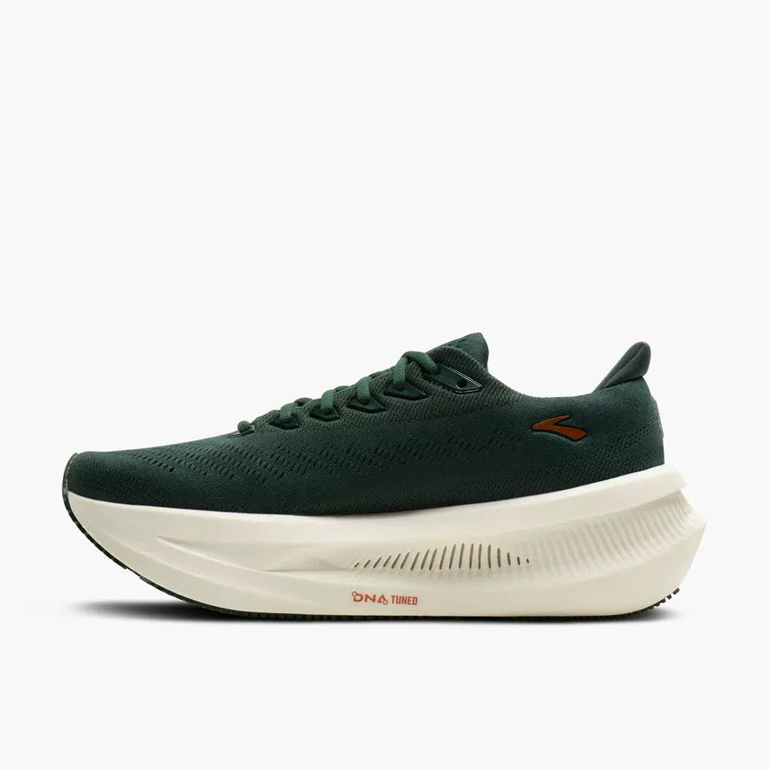 Dark Spruce/Bombay Brown/Clear