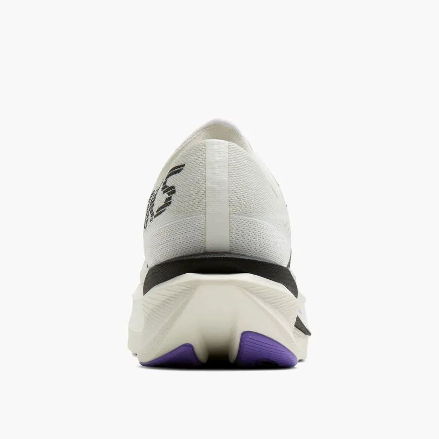 Grey/Black/Purple Hebe