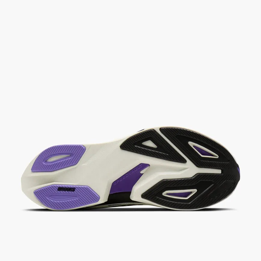 Grey/Black/Purple Hebe