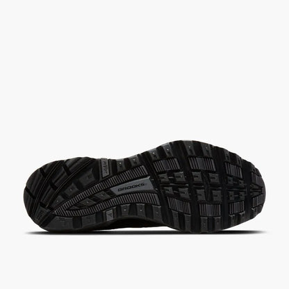 Black/Chameleon